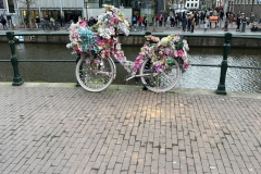 Photo-Jan-01-2023-3-43-20-PM